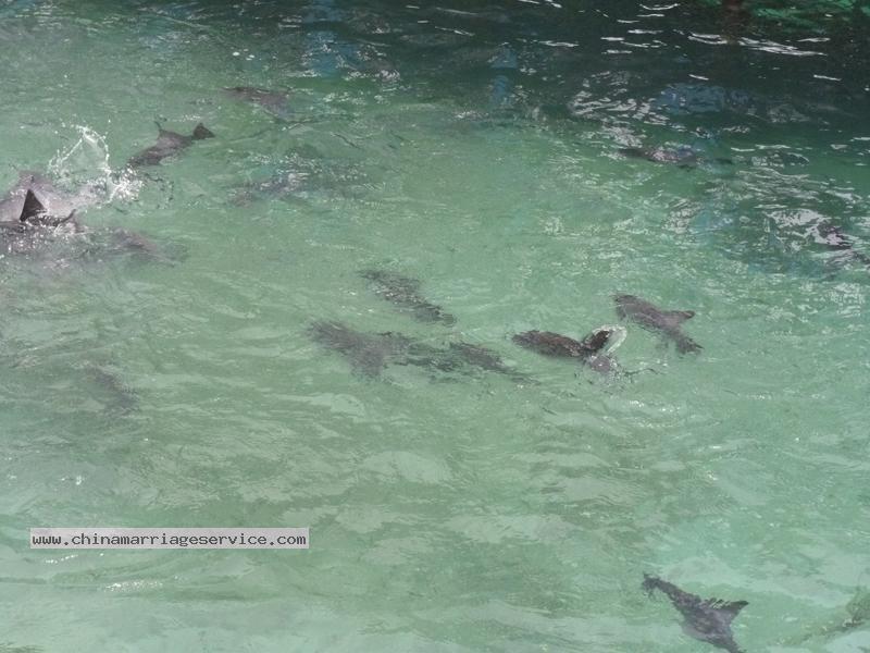 colombian-women-city-tour-48